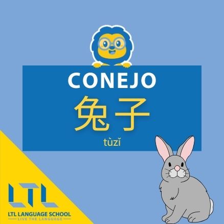 Gráfica del conejo en chino