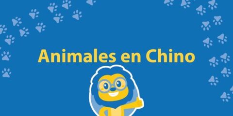 Nombres de Animales en Chino Traducidos Literalmente al Español Thumbnail