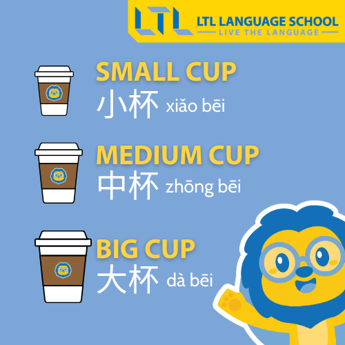 Cup Sizes for Coffee en Chino