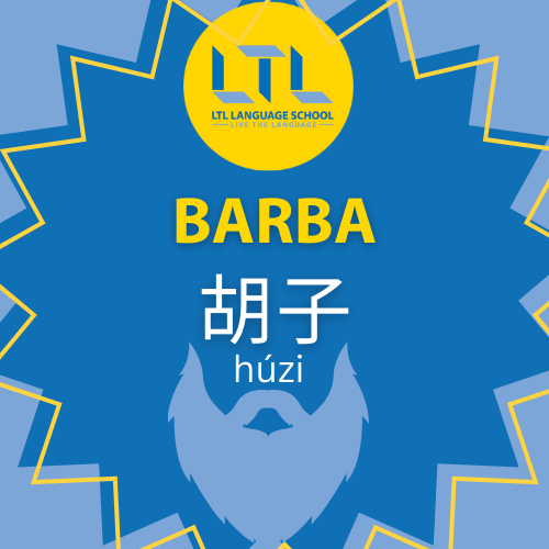 Barba-en-chino-1